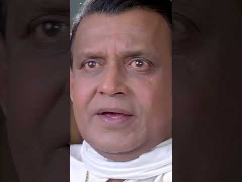 আমার সাথে হাত মিলিয়েছে #svfekush #bengalicinema