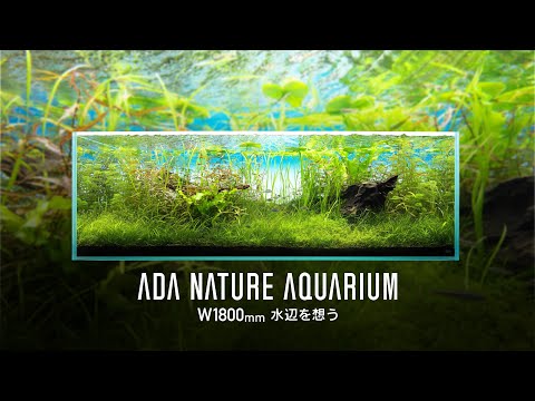 [ADAview] Pondering the Waterside 水辺を想う -W1800mm NatureAquarium Layout-【EN/JP Sub.】