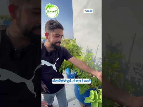 बीमारियों से दूरी, तो फल है जरूरी 😱🪴 #terracegardenindia #gardendesign