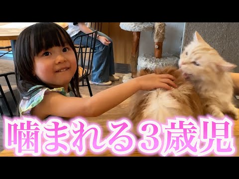 猫ちゃんと仲良くなりたいけど、反撃されて噛まれる３歳娘