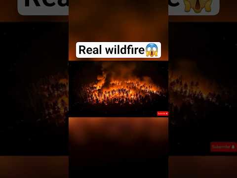 #naturaldisaster #veo3 #veo3videos #wildfire