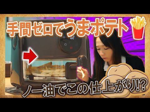 【サンコー】フライ2バディで卓上でポテトフライを作ってみたら鬼うま!!