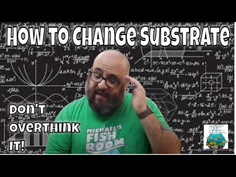 How to Change Substrate Don't Overthink it!
👉🏼Check out my website to order fish_ https_//www.michaelsfishroom.com
�