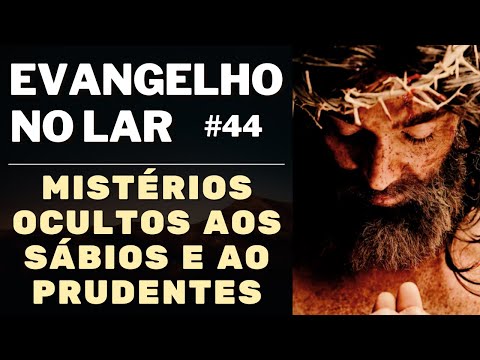 EVANGELHO NO LAR   HOJE 03/06/24 I Mensagem Espírita