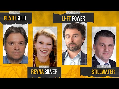 Silver, Nickel, Niobium, and Lithium Stocks | CEO BBQ