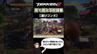 【鉄拳8】見て覚える用語集【運びコンボ】