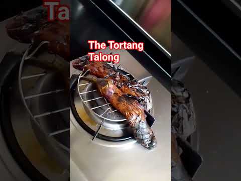 The Tortang Talong #guitar #tortangtalong #music #beach #cover #yummy #yummyfood #food #letseat