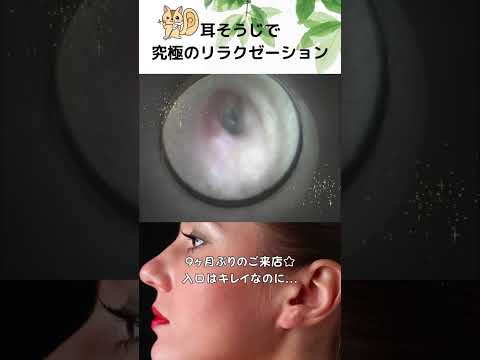 【耳掃除】9ヶ月ぶりのご来店☆入口はキレイなのに... #eariss #イヤーエステ #耳そうじ #耳そうじ #耳かき #リラック #耳ツボ #癒し #耳ツボ #耳マッサージ