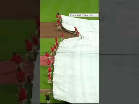 Crew member falls under tarpaulin at baseball game