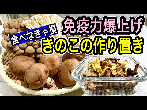 【きのこ完全攻略】免疫力を上げる最強作り置き4品!【風邪・骨粗しょう症・疲れ】をW予防