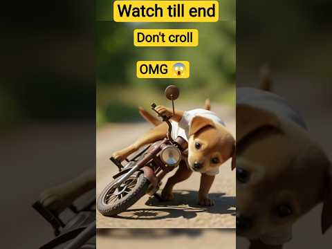 the poor puppy have old motorbike so his rich friends making fun for him.#motivation #viral #puppy