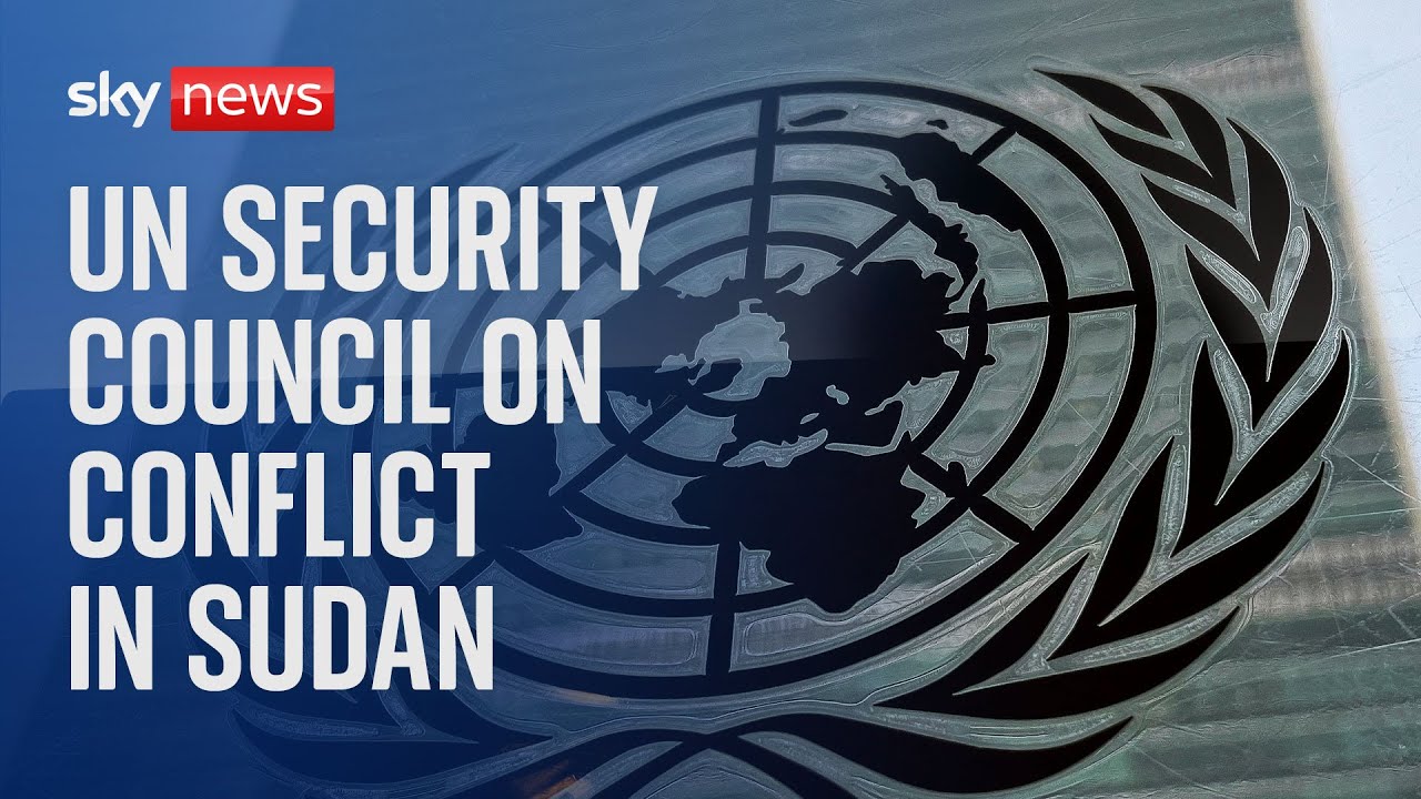 UN Security Council meeting on conflict in Sudan and South Sudan