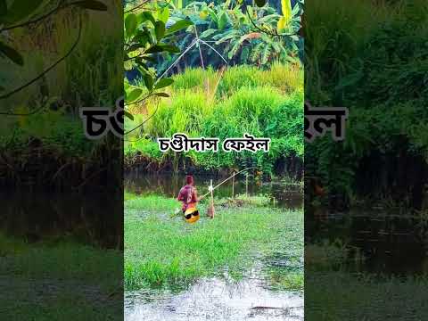 চণ্ডীদাস ফেইল😁 #villagelife #fishing #shorts #shortvideo #bangladesh