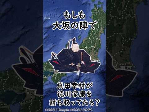 もし大阪の陣で家康が討ち取られてたら?#戦国時代 #真田幸村 #徳川家康