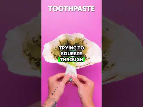 Tried to See Why Dogs Love Car Windows 🐶🚗😳 | Almost Choked by Grandpa!