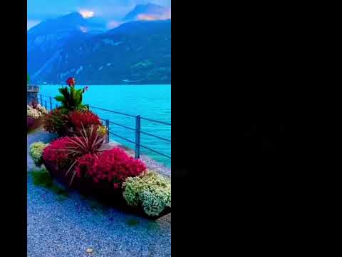 #duet #varshachoudhariofficial #song #sadabaharnagme #love #sadabahaarnagme 24 अक्तूबर 2025