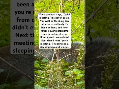 Work Life – The “Team Meeting” Trap