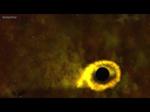 Black hole twists star into 'donut shape,' Hubble discovery