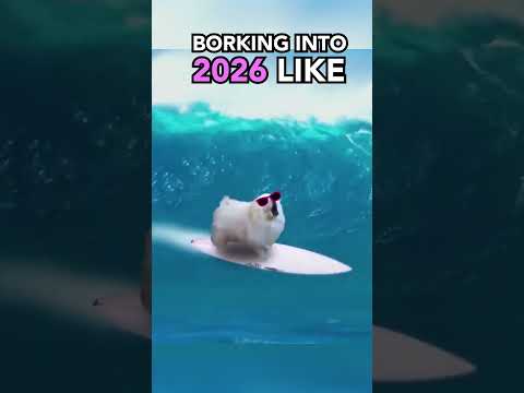 How 2026 started VS how it's going... #meme #funnymemes #dogs