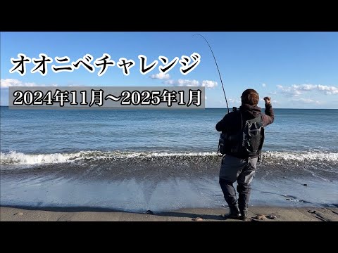 宮崎県日向灘 オオニベ釣行（2024年11月28～12月6日）