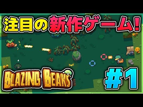 【二人実況】かわいい鳥たちが大暴れ!?注目の新作ゲーム実況プレイ！！【BlazingBeaks】