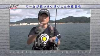 泉 裕文シーバスノート The Live DVDと本セット SALTWATER DVD『泉 裕文 シーバスノート The Live』サンプル05