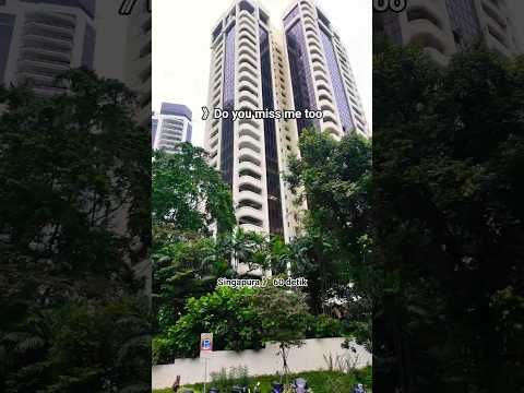 Do You Miss me too 》#travel #singapore #viral #video #motivation #viralvideo #music #fypシ