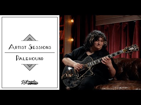 Palehound x Excel SS | Artist Sessions | D'Angelico Guitars