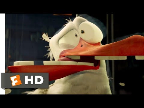 Storks (2016) - Birds Can't See Glass Scene (7/10) | Movieclips - UC3gNmTGu-TTbFPpfSs5kNkg