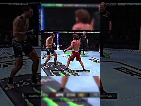 Magomedov vs Petrosyan #sharamagomedov #petrosyan #magomedov #pirate #sharabullet #ufc #mma #fypage