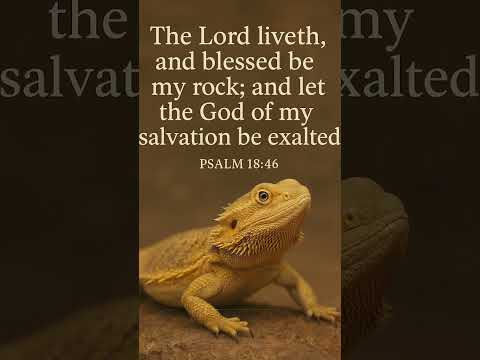 #christianmusic #christianmusic #dailybibleverse #beardeddragon
