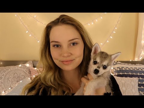 ASMR Arya ♥ Puppy Love and Petting - UCikebqFWoT3QC9axUbXCPYw