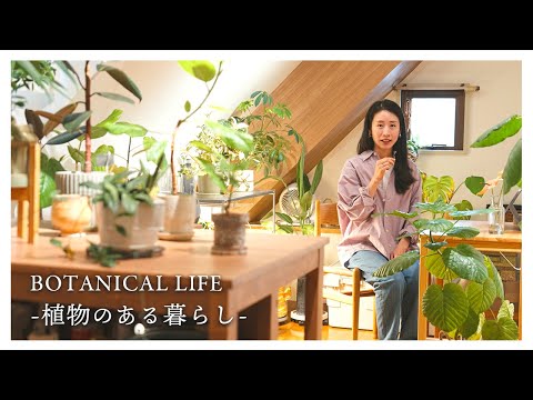 【音声あり】我が家の植物について