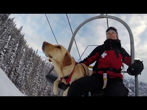 GoPro Awards: Telluride Avalanche Dogs - UCqhnX4jA0A5paNd1v-zEysw