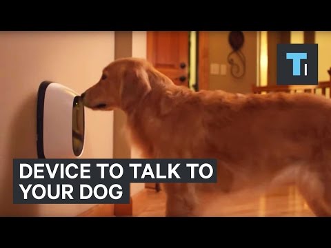 Device to talk to your dog - UCVLZmDKeT-mV4H3ToYXIFYg