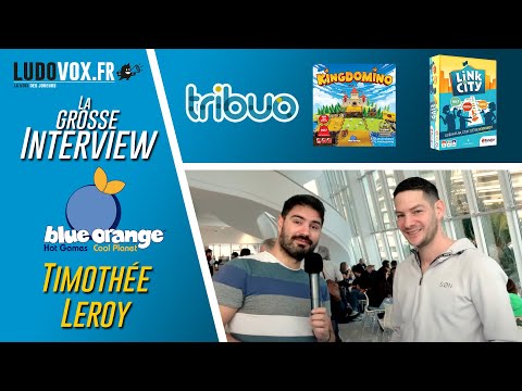Interview - Timothée Leroy : Dirigeant Blue Orange Groupe + Projet Usine fabrication française