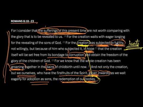 Romans 8:18-23 // Suffering Exposes Our Sin