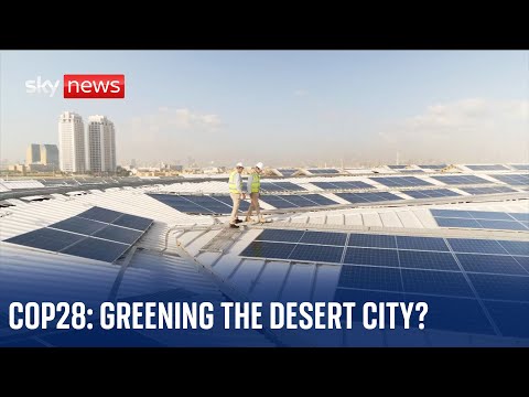 Climate Show: COP28 comes to Dubai, but is progress being made?