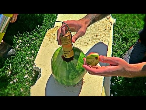 Watermelon Vs Mortar in Slow Motion - UCe_vXdMrHHseZ_esYUskSBw