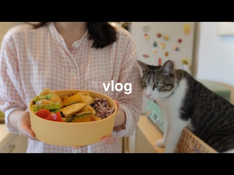 【vlog】会社員とYoutubeの両立で忙しく過ごす日常👩‍💻お弁当おかずの作り置き／Youtubeへの想い🧠💭レンジで簡単にできるご馳走おかず🍝