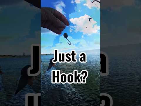 🎣 I think I found THE BEST BAIT FOR ladyfish... 😂 video thumbnail