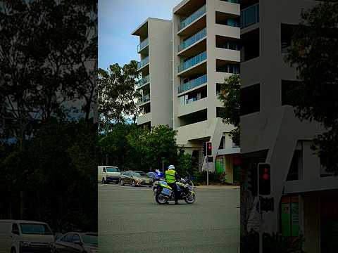 VIP Escorts in Sydney #shortvideo