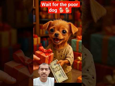 The cute poor dog hadn't cash for food so, rich people teasing him 2 #shorts #animahal #ai #ytshort