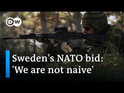 Swedish Defence Minister Peter Hultqvist on his country's decision to join NATO | DW News