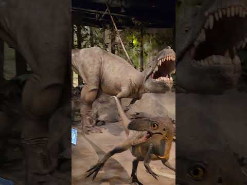 The museum entrance drumheller