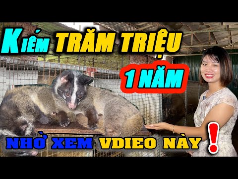 KIẾM TRĂM TRIỆU 1 NĂM TỪ CHỒN NHỜ XEM VIDEO NÀY | CHANNUOI.NET