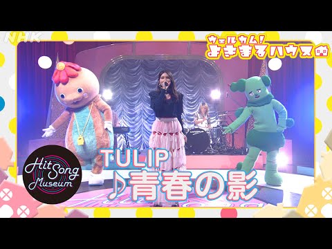 【よきまるハウス】TULIP♪『青春の影』をカバー！亀田誠治・斎藤アリーナ・サボさん・シュッシュ【Eテレ・ウェルカム！よきまるハウス】| NHK