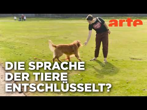 Kommunikation mit Tieren | The Future with Hannah Fry (2/6) | ARTE