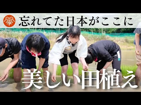 【ロケ】田植えが教えてくれる、日本人の原点｜川嶋政輝
