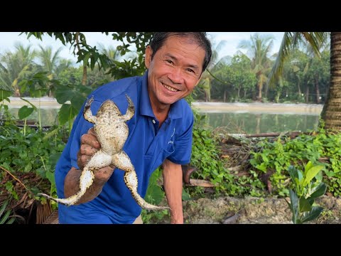 Chú 5 Dọn Đìa, Bắt Ếch Kiểu Mới Trúng Mánh Con Bự Bự Không